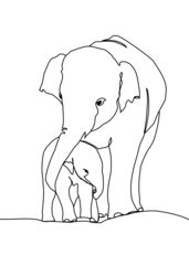 Wall Mural - drawing line, a young elephant was walking looking for something. Vector illustration