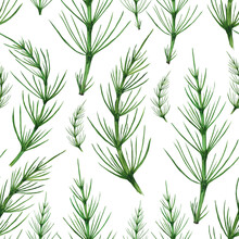 Green Horsetail Plant Seamless Pattern. Herbal Equisetum Arvense Isolated On White Background. Watercolor Hand Drawing Illustration. Perfect For Wallpaper, Backdrop, Wrapping, Medical Design.
