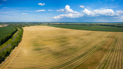 Wall Mural - Green and yellow fields from above aerial view