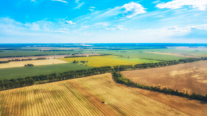 Wall Mural - Green and yellow fields from above aerial view