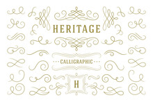 Calligraphic Design Elements Vintage Ornaments Swirls And Scrolls Ornate Decorations Vector Design Elements.
