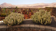 Lanzarote The Cactus Garden Jardin De Cactus