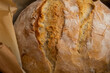 Close-up photography of scored, baked in cast iron rustic bread with parchment paper