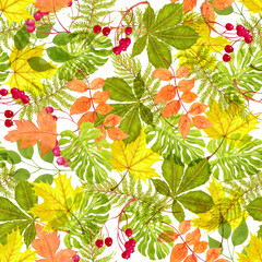 Wall Mural - Watercolor autumn leaves seamless pattern on white background. 