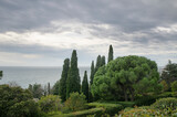 Fototapeta  - Park in Alupka (Crimea)