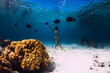 © artifirsov - Woman dive underwater with yellow fins in tropical ocean.