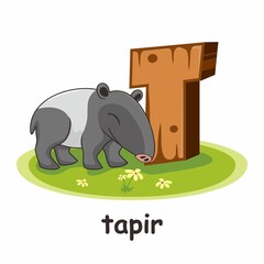 Tapir Cartoon 3D Alphabet Wood Animals