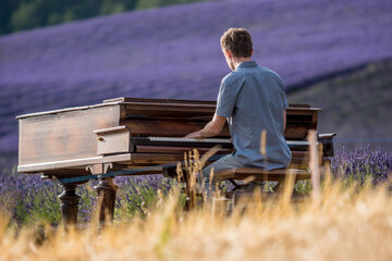 le pianiste et la lavande