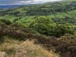 © derek oldfield - Landscape view, across Shibden Valley, with hills, fields, and trees, on a cloudy day in, Halifax, Yorkshire, UK