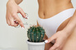 The girl cuts a large cactus with scissors in the groin area. The concept of intimate hygiene, epilation and depilation, deep bikini shaving