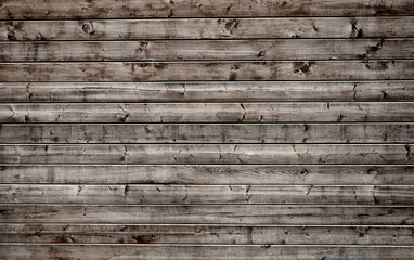 Wall Mural - Texture of bark wood use as natural background.