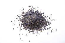 Dried Lavender Flowers Seeds Little Pile On The White Background, Shallow Depth
