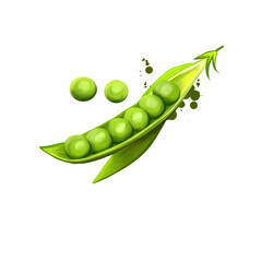 Pea isolated on white. Small spherical seed or seed-pod Pisum sativum. Pod contains several peas. Digital art illustration. Organic healthy food. Green vegetable. Graphic design element with splashes.