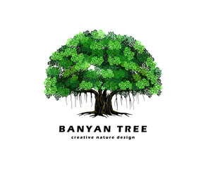 banyan tree logo design, vector illustration