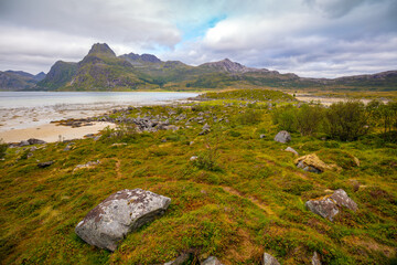 Fototapete - Beautiful rocky seashore. Shoreline in northern Norway. Wild nature of Norway, Europe