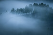Dramatic view of a birch tree forest covered in thick fog on a hill peak aerial view