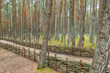Fototapeta Na sufit - Fence made of wooden rods in the forest