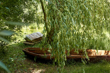 An old wooden boat lies on the shore of the lake. Branches of willow. Beautiful nature. A symbol of abandonment.