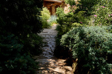 Path In A Dense Garden Lined With Stone Tiles. Alpine Courtyard. Lots Of Vegetation.