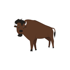 Wall Mural - Bison Illustration