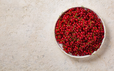 Wall Mural - Red currants in a white bowl on a light concrete background, top view