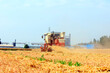 © zhengzaishanchu - combine harvester working on a wheat field