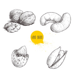 Sticker - Hand drawn sketch style nuts set. Walnut, cashew, almond and pistachios. Collection of healthy natural food. Vector illustrations isolated on white background.