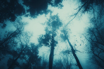 Wall Mural - trees in dark scary forest at night, halloween background