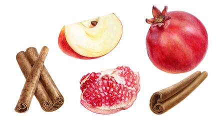 Wall Mural - Cinnamon sticks apple slice pomegranate watercolor illustration isolated on white background