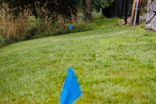 A Blue Surveyors Flag And Stake Marks The Location Of A Water Pipe