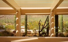 Beautiful Naturalistic Architecture Seamlessly Frames The Arizonan Desert Cactus Plant Life.
