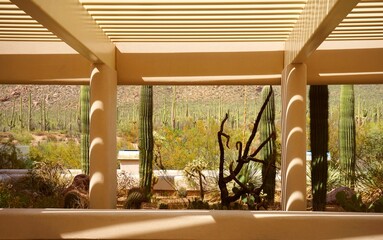 beautiful naturalistic architecture seamlessly frames the Arizonan desert cactus plant life.