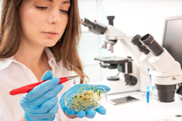 Sticker - Inspection of the quality of agricultural seeds. Checking the quality of the seed before planting in the ground