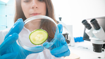 Canvas Print - Inspection of the quality of vegetables and fruits in the laboratory of food quality