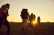 © Studio Romantic - Hike. Hiking. Tourism.A group of tourists with backpacks are walking along the hill at sunset in nature in summer.