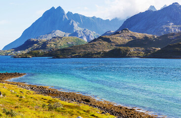 Wall Mural - Lofoten