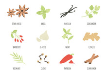 Spices. Hand Drawn Herbs And Spices Star Anise, Basil And Ginger, Garlic. Cinnamon, Vanilla And Paprika, Mint And Rosemary, Clove Vector Set. Aromatic Ingredients And Flavors For Cooking And Culinary