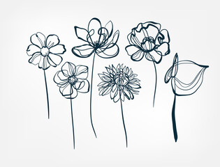 Wall Mural - flower line one art isolated vector illustration