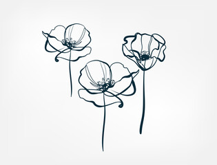 flower line one art isolated vector illustration