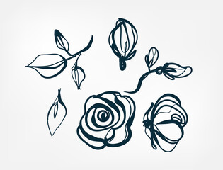 Wall Mural - flower line one art isolated vector illustration