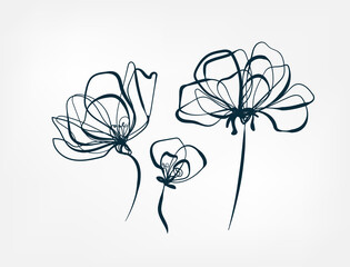 Wall Mural - flower line one art isolated vector illustration