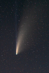 comet Neowise twin tails glowing in the night sky. Telephoto view, details of the two star trails. Outstading astronomical event in July 2020.