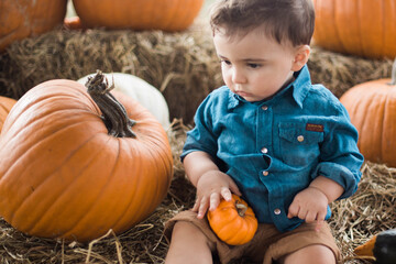 pumkin patch october halloween southern farms in clermont florida orlando florida