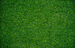 Closeup of artificial grass texture