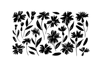 Daisy hand drawn black paint vector set. Ink drawing flowers and plants, monochrome artistic botanical illustration. Isolated floral elements, chamomile, aster, chrysanthemum. Brush strokes silhouette