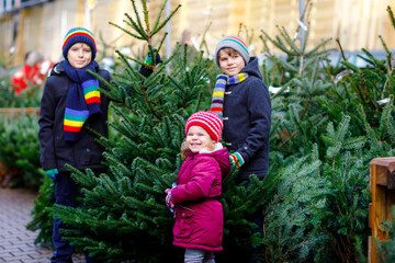 three little siblings: toddler girl and two kids boys holding Christmas tree on market. Happy children in winter clothes choosing and buying tree in outdoor shop. Family, tradition, celebration