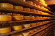 Dutch cheeses on wooden layers