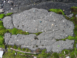 Abstract background of old cracked asphalt and moss