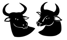 The year of the Ox. Illustration for Chinese New Year. Set of hand drawn vector ink animal silhouette heads. Isolated on white background