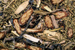 Herbs and roots used iin making medicinal Chinese tea..